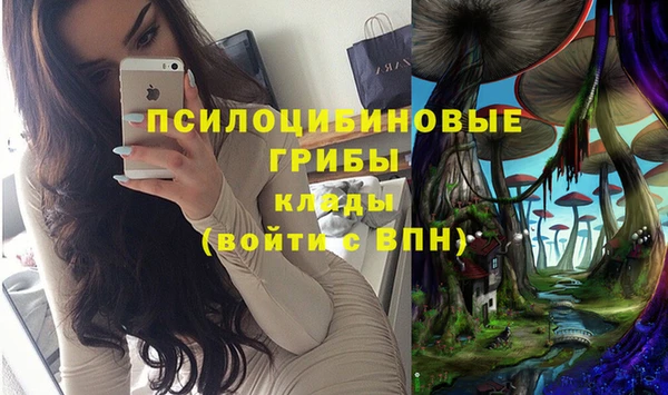 гидра Новодвинск