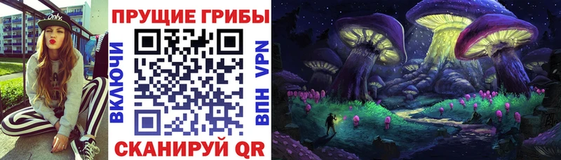Псилоцибиновые грибы Cubensis  Талица 